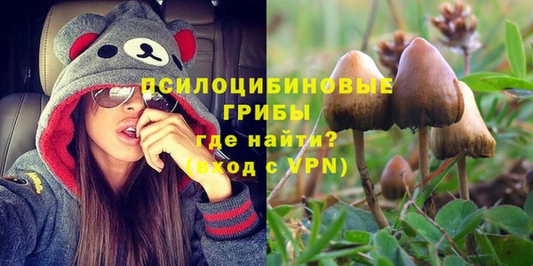 не бодяженный Нязепетровск