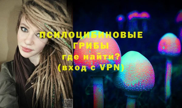 спиды Няндома