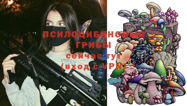 ALPHA PVP Елизово