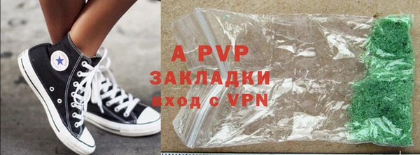 ГАЛЛЮЦИНОГЕННЫЕ ГРИБЫ Осинники