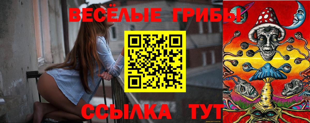 продажа наркотиков  Галлюциногенные грибы ЛСД  Вход с VPN  Радужный  Галлюциногенные грибы MAGIC MUSHROOMS 