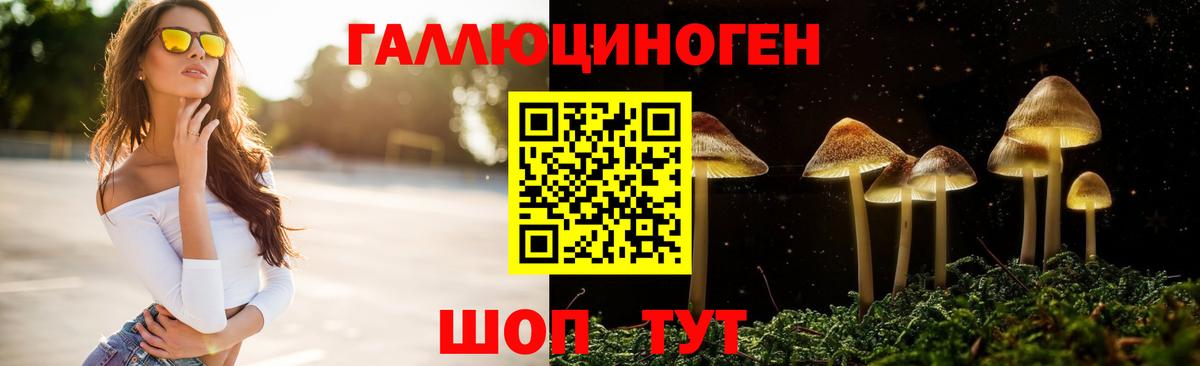 Псилоцибиновые грибы Psilocybine cubensis Радужный